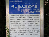 弁天島天満社々叢について