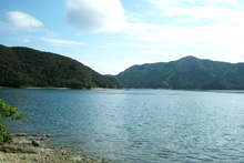 猪串湾の風景