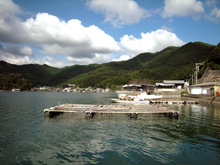 猪串湾の風景３