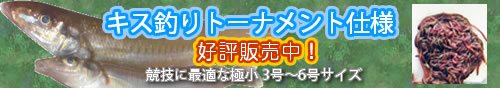 キス釣り釣り用